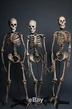 3 CRIME SCENE SKELETONS The Walking Dead Haunted Halloween Prop & Decoration