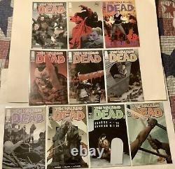 Huge Walking Dead comics Lot 98% Complete 221 Issues, Excellent Cond Issue 3