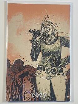 Walking Dead 15 Year Anniversary Variant Covers Lot. 29 Total Issues