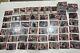 Walking Dead Survival Box Lot Of 193 Cards Includes Short Prints And Subsets