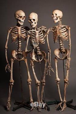 3 Skeletons De La Scène Du Crime The Walking Dead Hanté Halloween Costume & Décoration