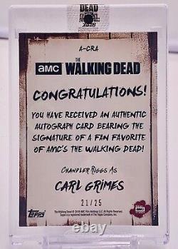 La collection d'autographes de The Walking Dead Chandler Riggs en tant que Carl Grimes Mud /25 SSP