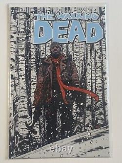Lot de couvertures variantes pour le 15e anniversaire de Walking Dead. 29 numéros au total